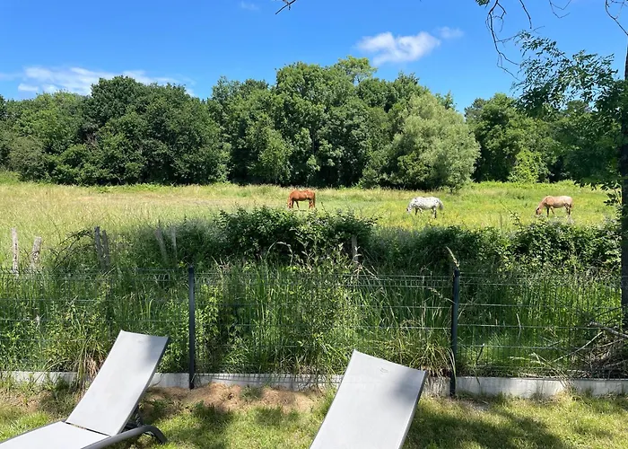 In A Calm And Relaxing Setting With Heated Swimming Pool And Jacuzzi 3* Les Mathes