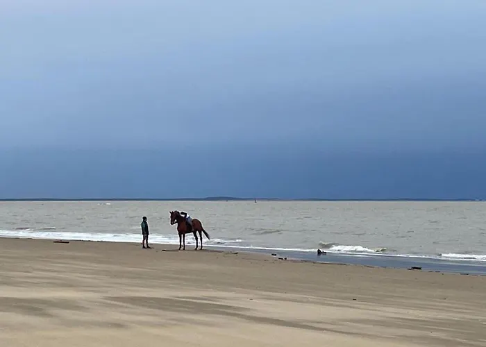 In A Calm And Relaxing Setting With Heated Swimming Pool And Jacuzzi Les Mathes