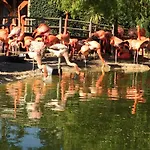 招待所 In A Calm And Relaxing Setting With Heated Swimming Pool And Jacuzzi
