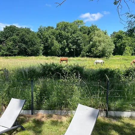 In A Calm And Relaxing Setting With Heated Swimming Pool And Jacuzzi 3* Les Mathes