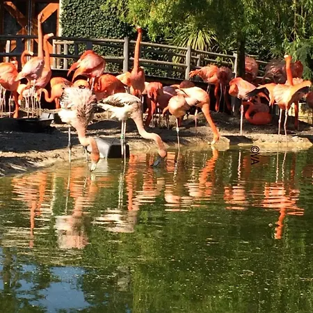 Guest house In A Calm And Relaxing Setting With Heated Swimming Pool And Jacuzzi 3*