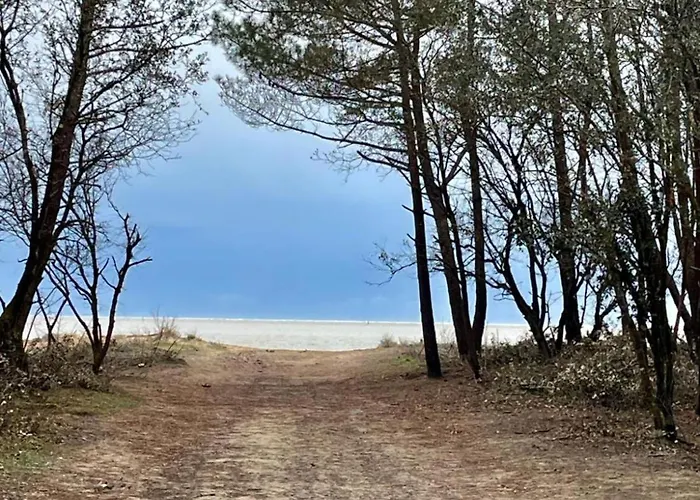 In A Calm And Relaxing Setting With Heated Swimming Pool And Jacuzzi Guest house Les Mathes