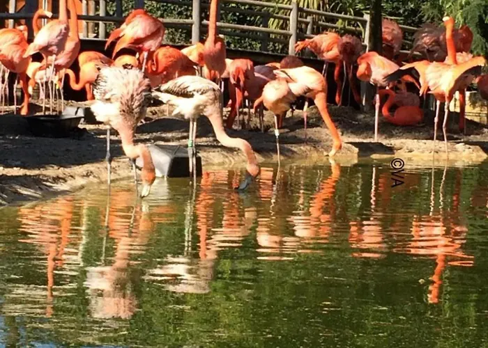 Guest house In A Calm And Relaxing Setting With Heated Swimming Pool And Jacuzzi 3*